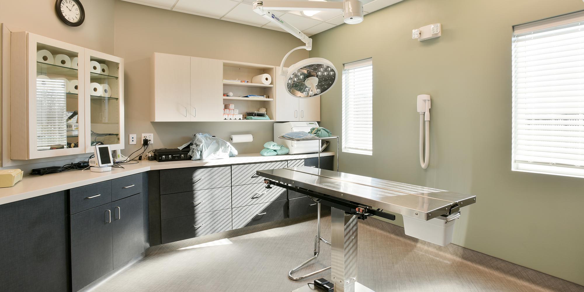 What to Expect When Your Pet Needs Surgery or Anesthesia at Shiloh Veterinary Clinic in Shiloh, IL What to Expect When Your Pet Needs Surgery or Anesthesia at Shiloh Veterinary Clinic in Shiloh, IL