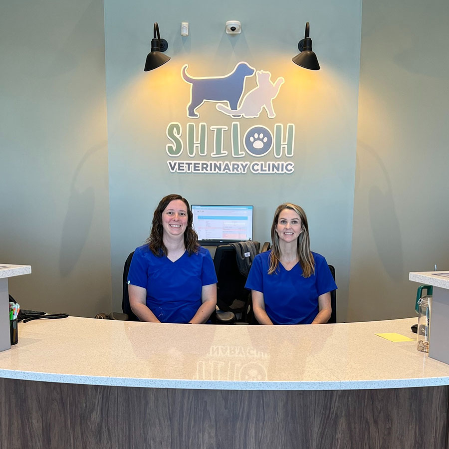 Appointments- Shiloh Veterinary Clinic in Shiloh IL